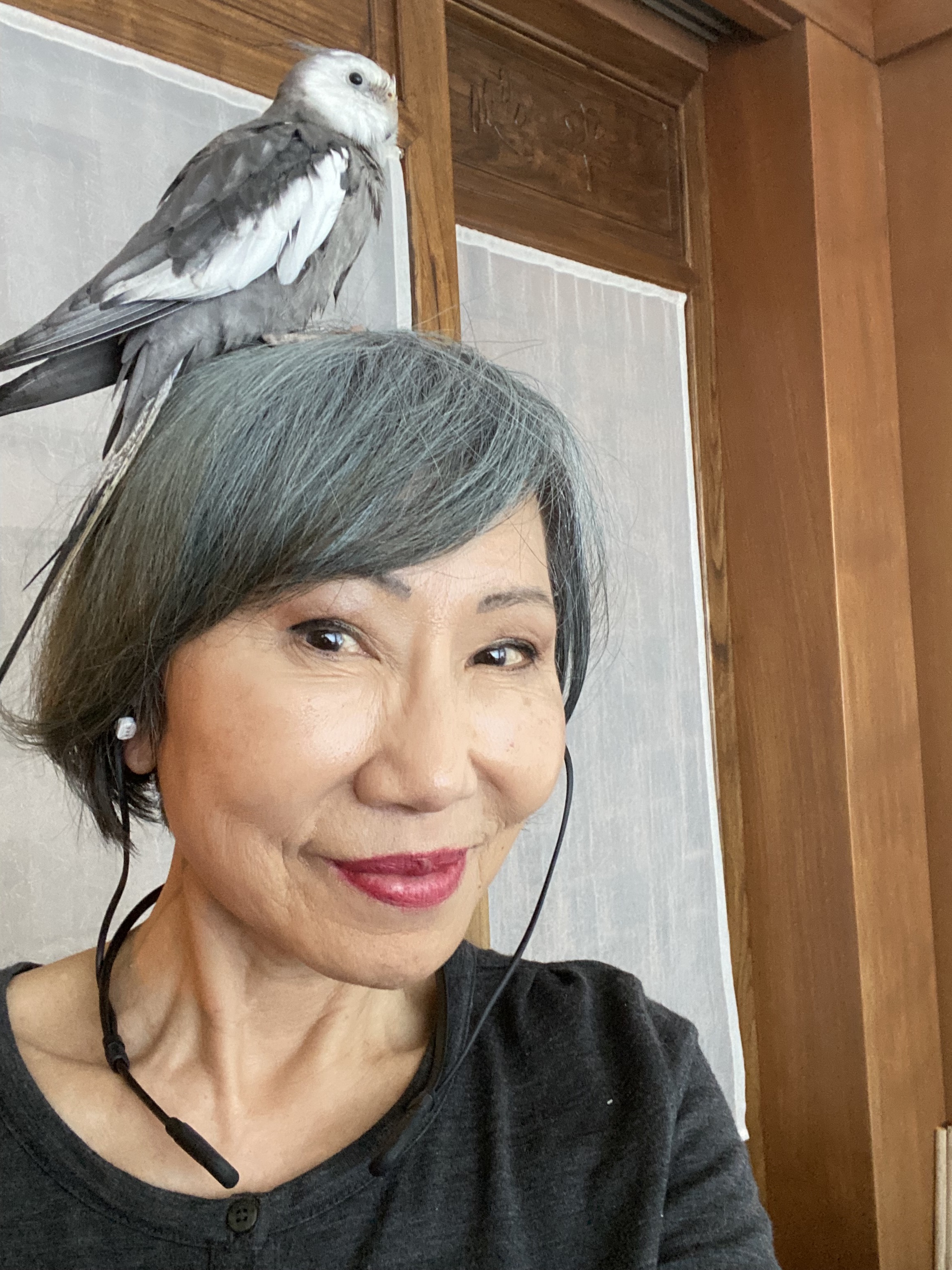 How Amy Tan Chose Flight Over Environmental Fury Sierra Club